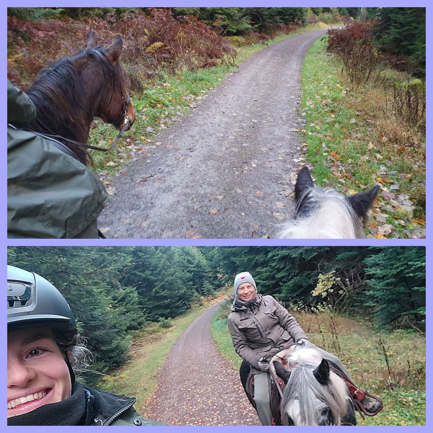 2023 11 November 603